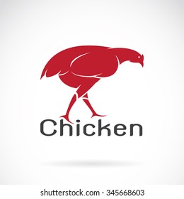 Vector image of an chicken on white background