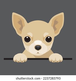 Vector image of a Chihuahua beige dog. Cute puppy