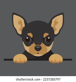 Vector image of a Chihuahua black-tan dog. Cute puppy