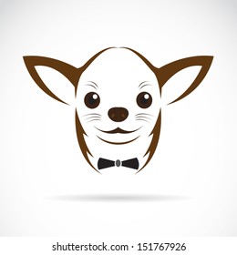 Vector image of an chihuahua dog 