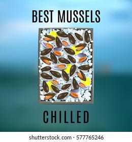 vector image of chilled seafood