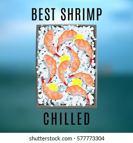 vector image of chilled seafood