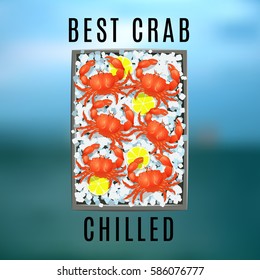 vector image of chilled seafood