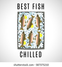 vector image of chilled seafood