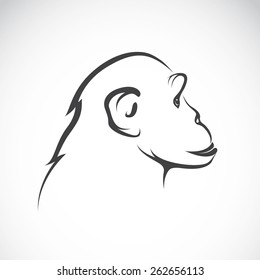 Vector image of a chimpanzee on white background