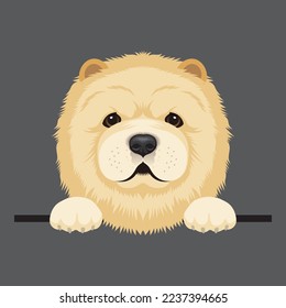 Vector image of a chow chow dog. Cute puppy