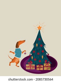 vector image Christmas card. Dachshund dog decorates the Christmas tree.