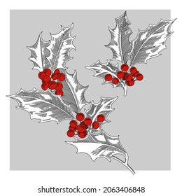 
Imagen vectorial de un santo de Navidad. Línea en un fondo gris.