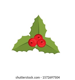 
Vector image of a christmas plant on a white background.