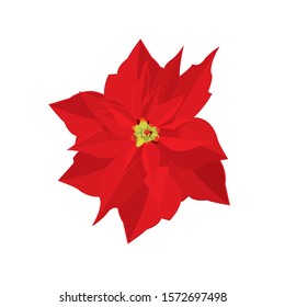 
Vector image of a christmas star. Red christmas flower on white background