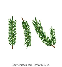 Vektorbild von Weihnachtsbaumbrannten einzeln auf weißem Hintergrund