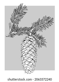 
Vector image of a Christmas tree cone with branches. Line and fill on a gray background.
