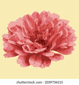 Imagen vectorial de una flor de crisantemo. Flor rosa sobre un fondo beige. Diseño para empaque, invitaciones, bodas, pegatinas, carteles, telas, estampados, papeles pintados, tatuajes.