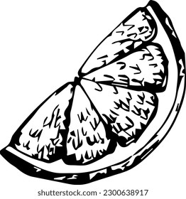 Vector image of citrus, orange slice, lemon, tangerine