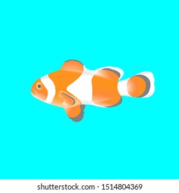 Vector image of a Clown Fish in isolated blue background.
