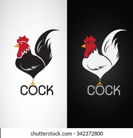 Vector image of an cock design on white background and black background, Logo, Symbol, Animals farm