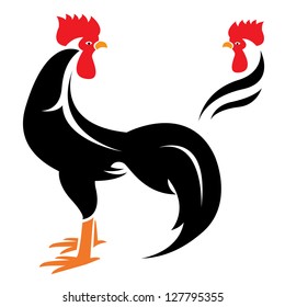 Vector image of an cock on white background