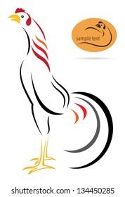 Vector image of an cock on white background