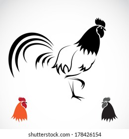 Vector image of a cock on white background