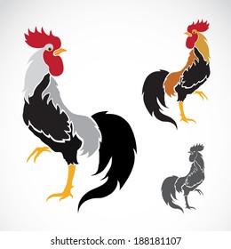 Vector image of an cock on white background