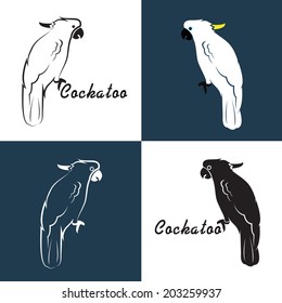 Vector image of an cockatoo on white background and blue.