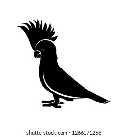 Vector image of a cockatoo parrot black and white on an isolated white background