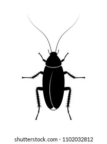 Vector image cockroach, beetle silhouette, sign. Insect, wildlife, flat design.
