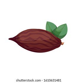 
Vector image of cocoa bean on a white background. Cocoa bean icon.
