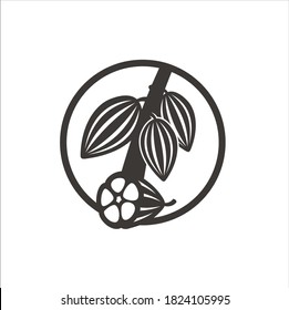 A vector image of cocoa / cacao / chocolate.
