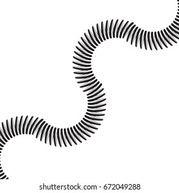 Vector image of coil spring