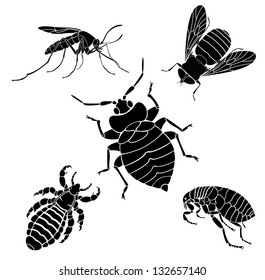 Vector image of collection of black silhouettes of parasites