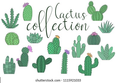 Vector image of a collection of cactus on a white background. Set of illustrations with inscription cactus collection