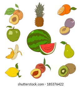 Vector image of collection of colorful fruins