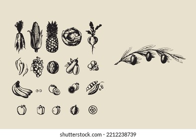 Vector image - collection of different fruits and vegetables