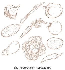Vector image of Collection of icons with vegetables