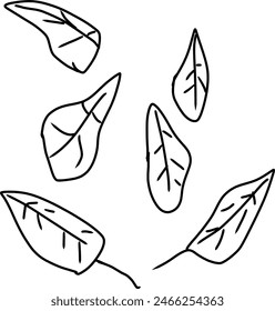 Vector image of a collection of leaves