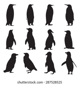 Vector image of a collection of penguins' silhouettes