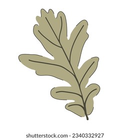 Vector image of color silhouette of a realistic shape of oak leave. Seasonal decorative background
