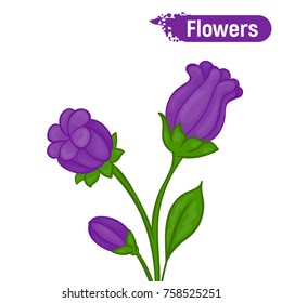 Vector image. Color sketch of abstract colors. Purple flowers.