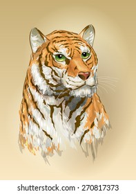 vector image color sketch tiger head