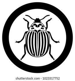 Vector image of the Colorado beetle silhouette on a white background