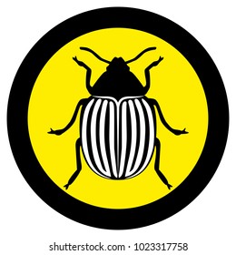 Vector image of the Colorado beetle silhouette on a white background