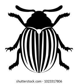 Vector image of the Colorado beetle silhouette on a white background