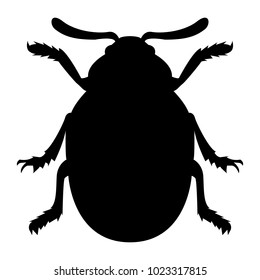 Vector image of the Colorado beetle silhouette on a white background