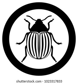 Vector image of the Colorado beetle silhouette on a white background