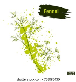 Vector image. Colored drawing of fennel. Sketch greenery, dill imitation of ink splashes and blots.