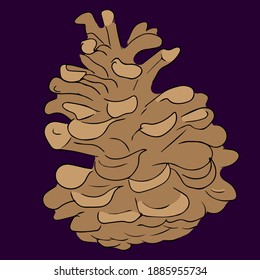 Vector image. Colored pinecone isolated on a dark background.