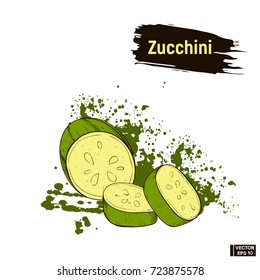 Vector image. Colored sketch of green Zucchini sliced. Useful ripe vegetables. Vegetarian cuisine.