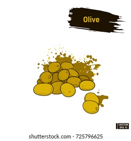 Vector image. Colored sketch of green olives. A bunch of ripe olives, an imitation of ink.