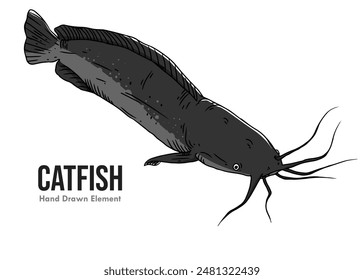 Vector image of colorful catfish on a white background